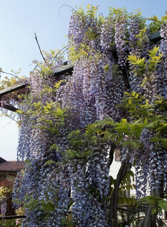 Bed and Breakfast Angelo Del Lotto Ponteranica Экстерьер фото